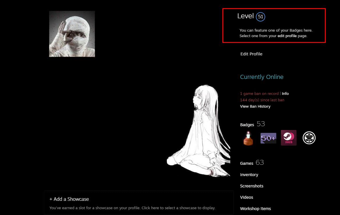 ✴ ПРАЙМ АКК CS2 NFA (50+ lvl Steam) ∙ CS2 Prime NFA (50+ lvl Steam)